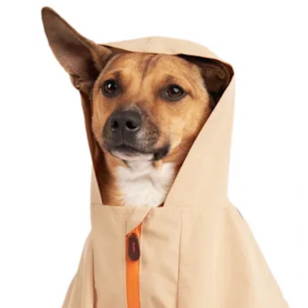 NWT Reddy colorblock dog hoodie XL - Picture 9 of 13